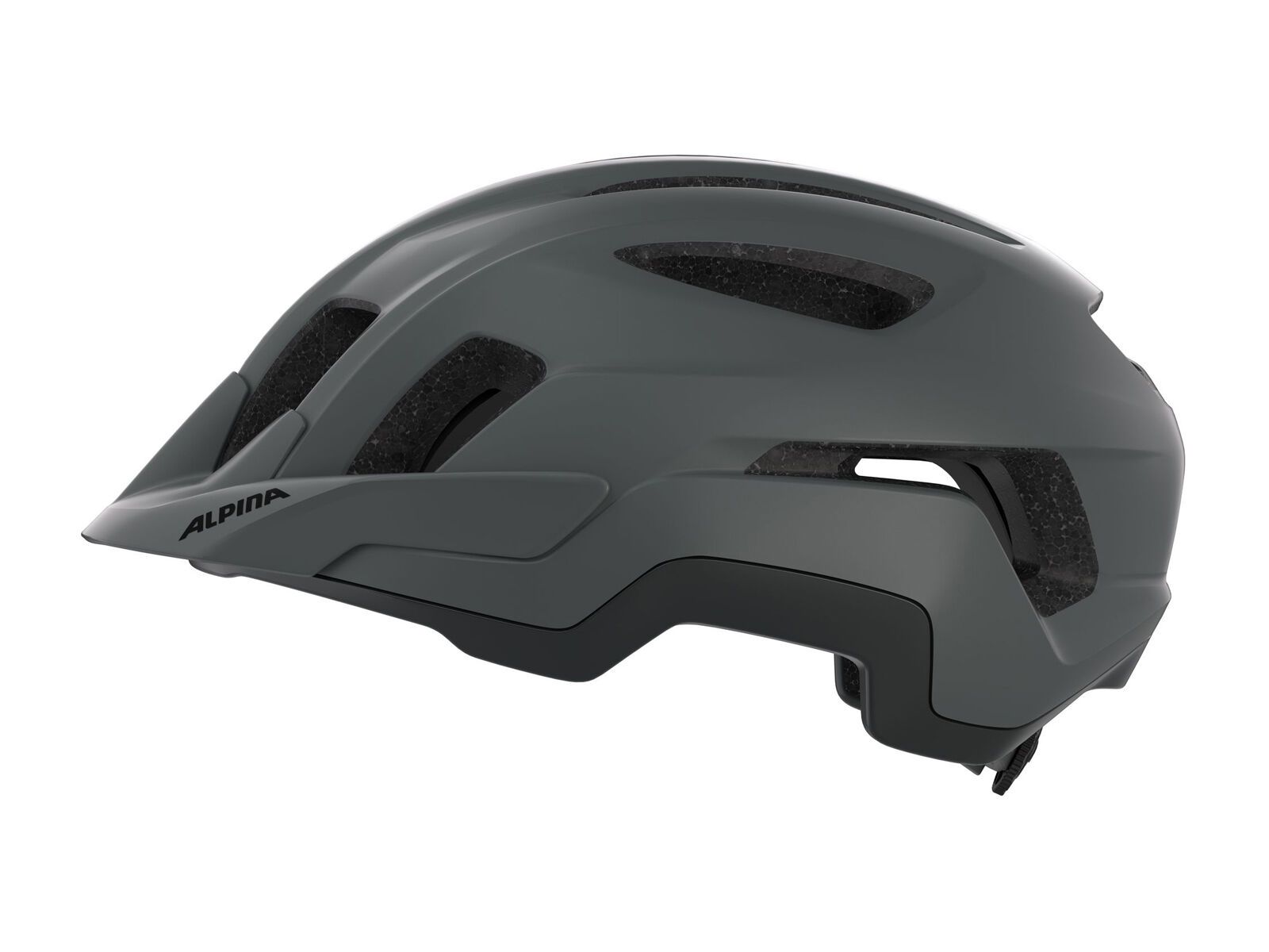 Alpina Paranus, midnight-grey matt - Bild 3