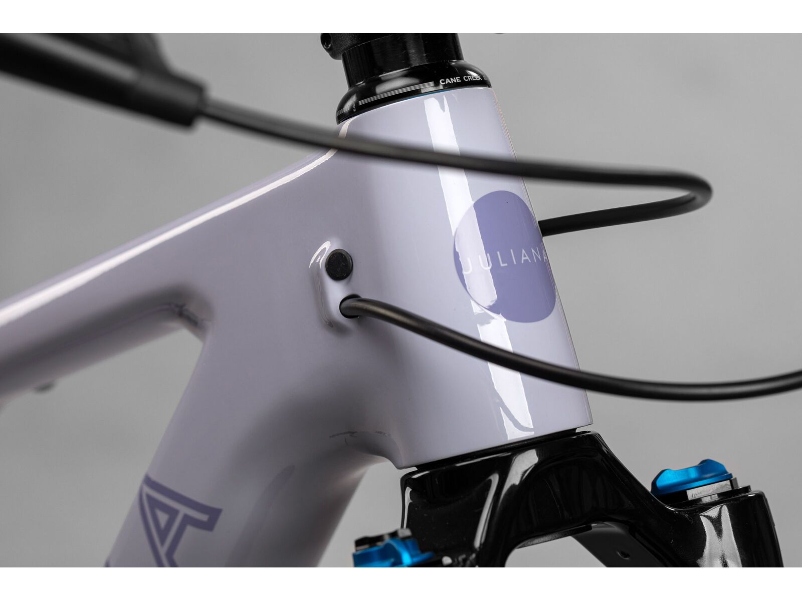 Juliana Wilder C / R / TR / 29, purple sweetness / lavender - Bild 3