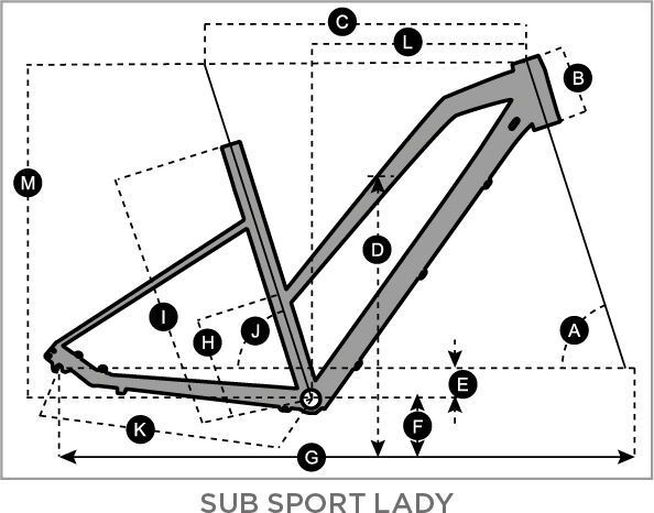 Scott Sub Sport 20 Lady, dark grey/gold polished - Bild 2