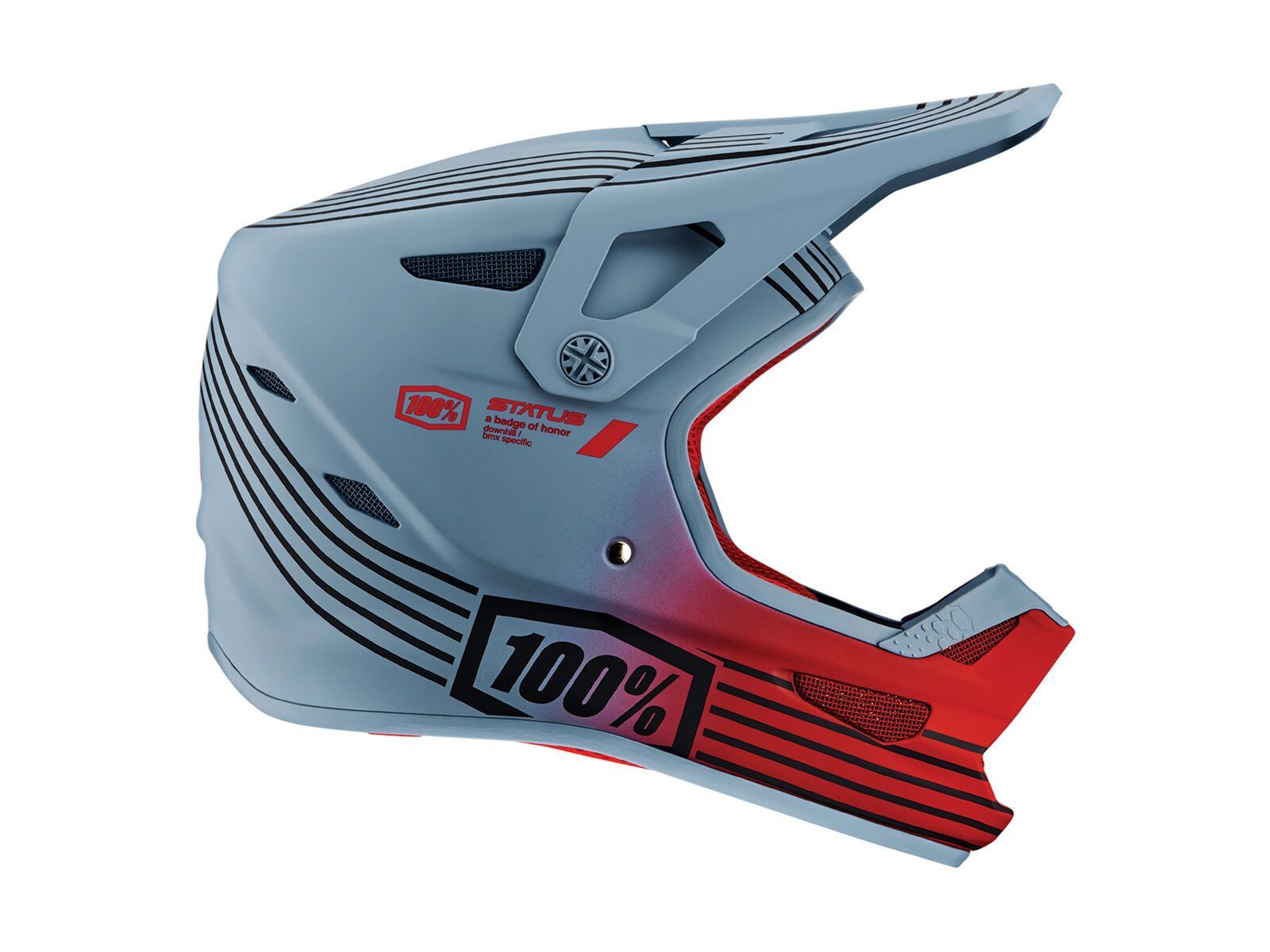 100% Status, caltec/grey - Bild 1