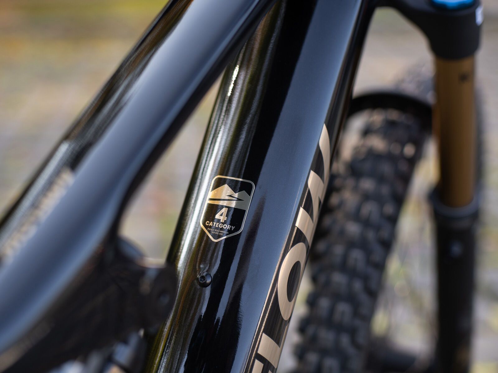 Amflow PL Carbon Pro - 800 Wh, cosmic black - Bild 10