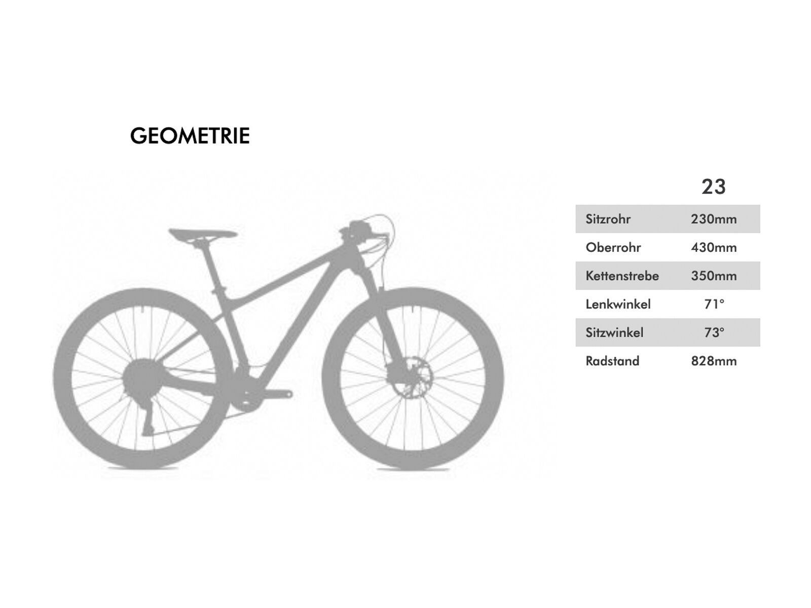 Conway MS 200 Suspension, flip flop / acid metallic - Bild 2