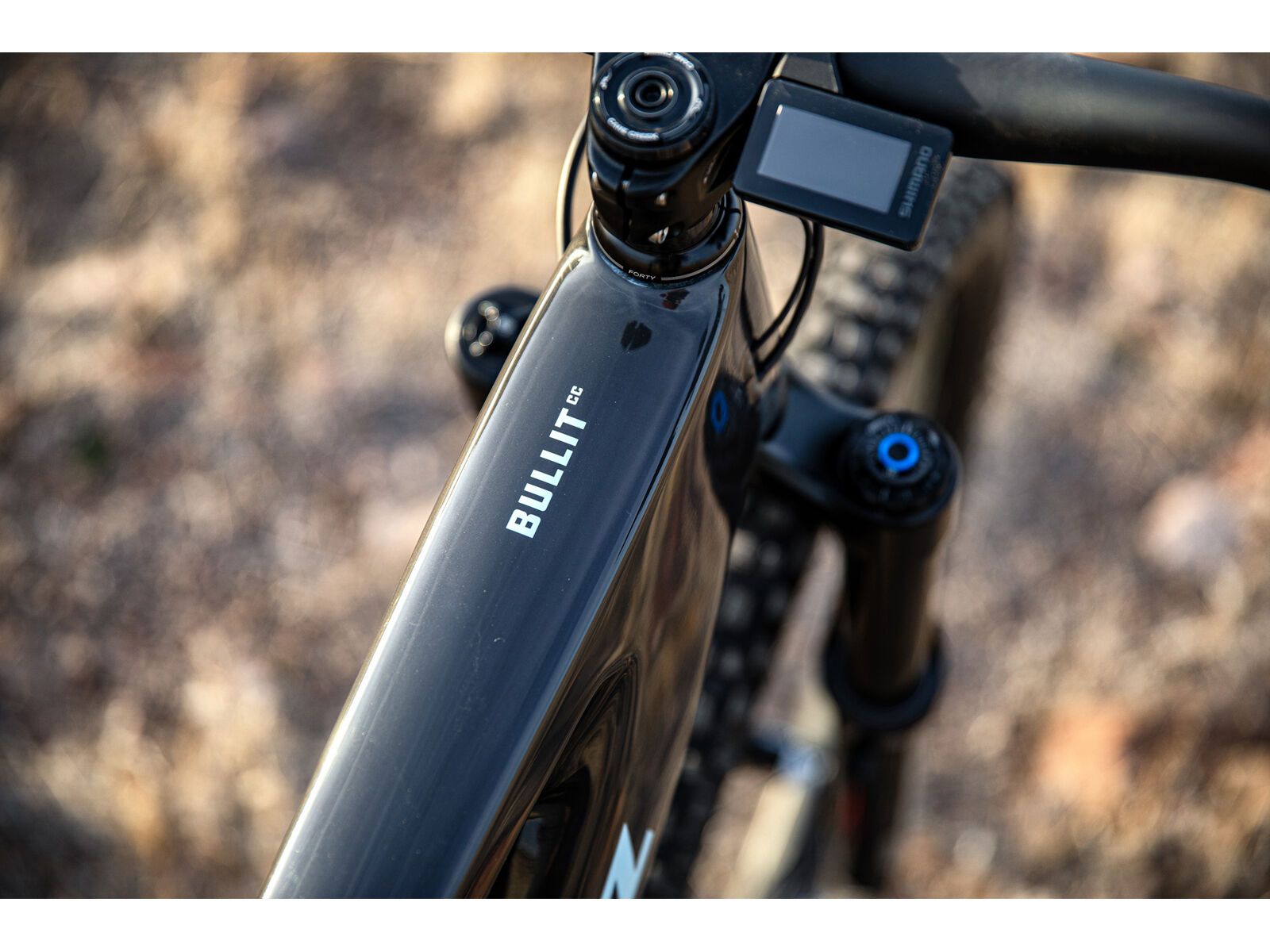 Santa Cruz Bullit CC / X01 AXS / RSV / MX, gloss carbon - Bild 15