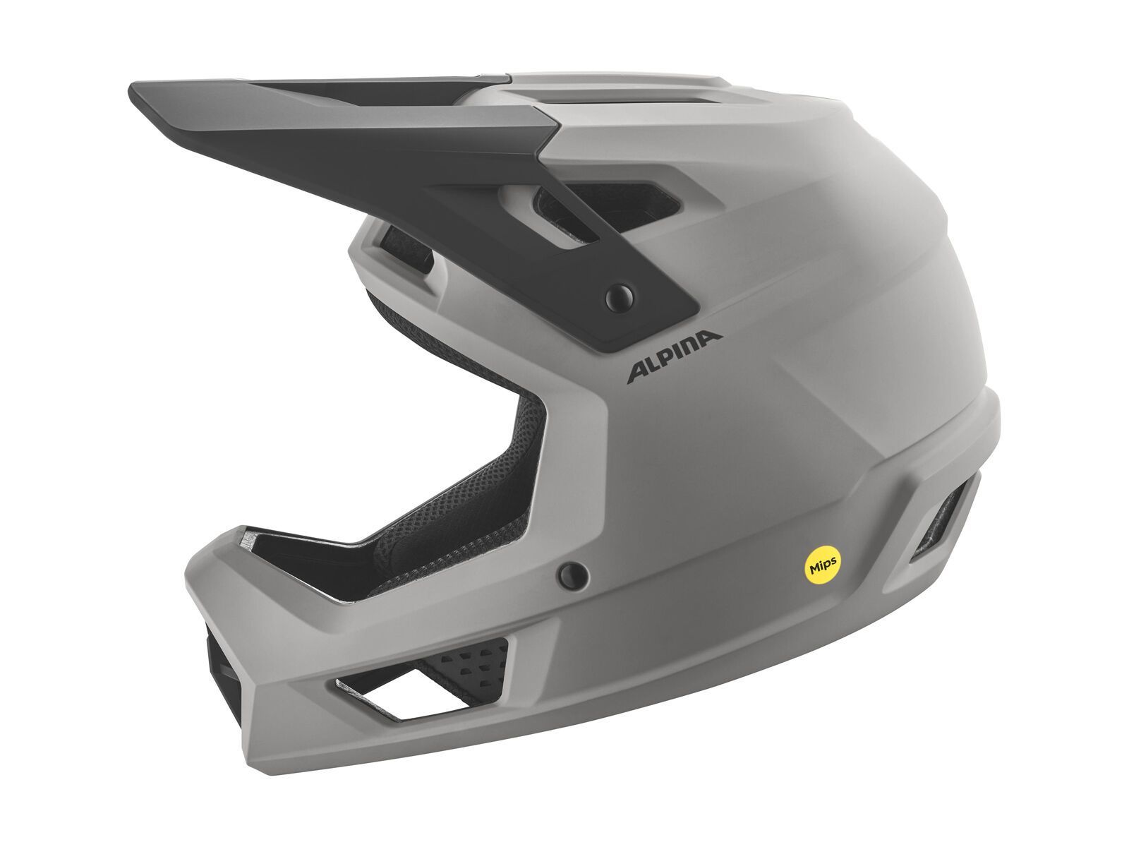 Alpina Pikes MIPS, smoke-grey matt - Bild 3