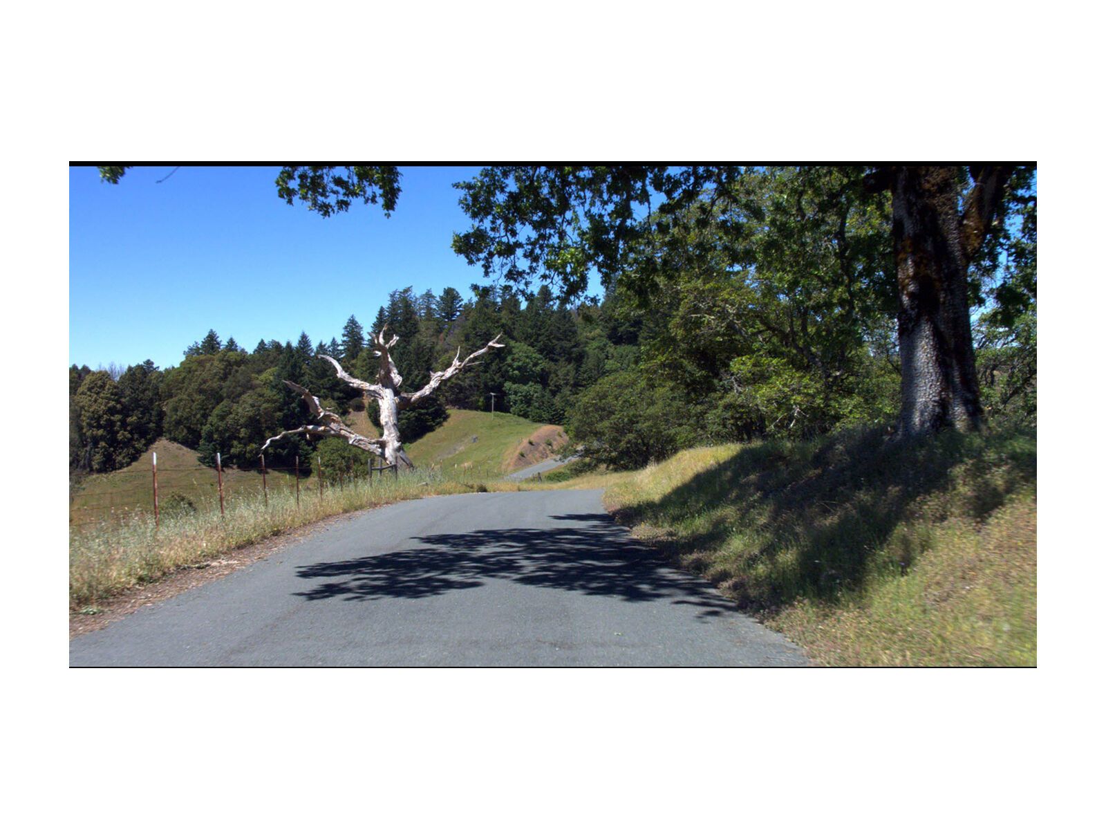 Tacx Real Life Video - King Ridge GranFondo (USA) Radtour - Bild 3