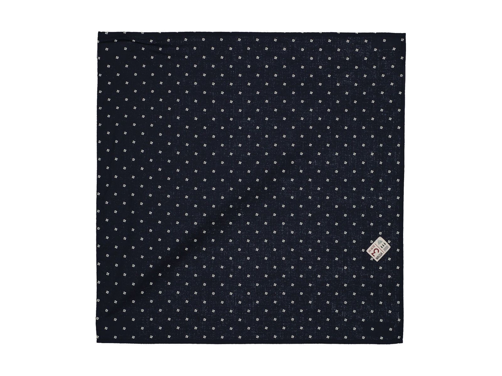 Maloja TadeusM., mountain lake clover - Bild 1