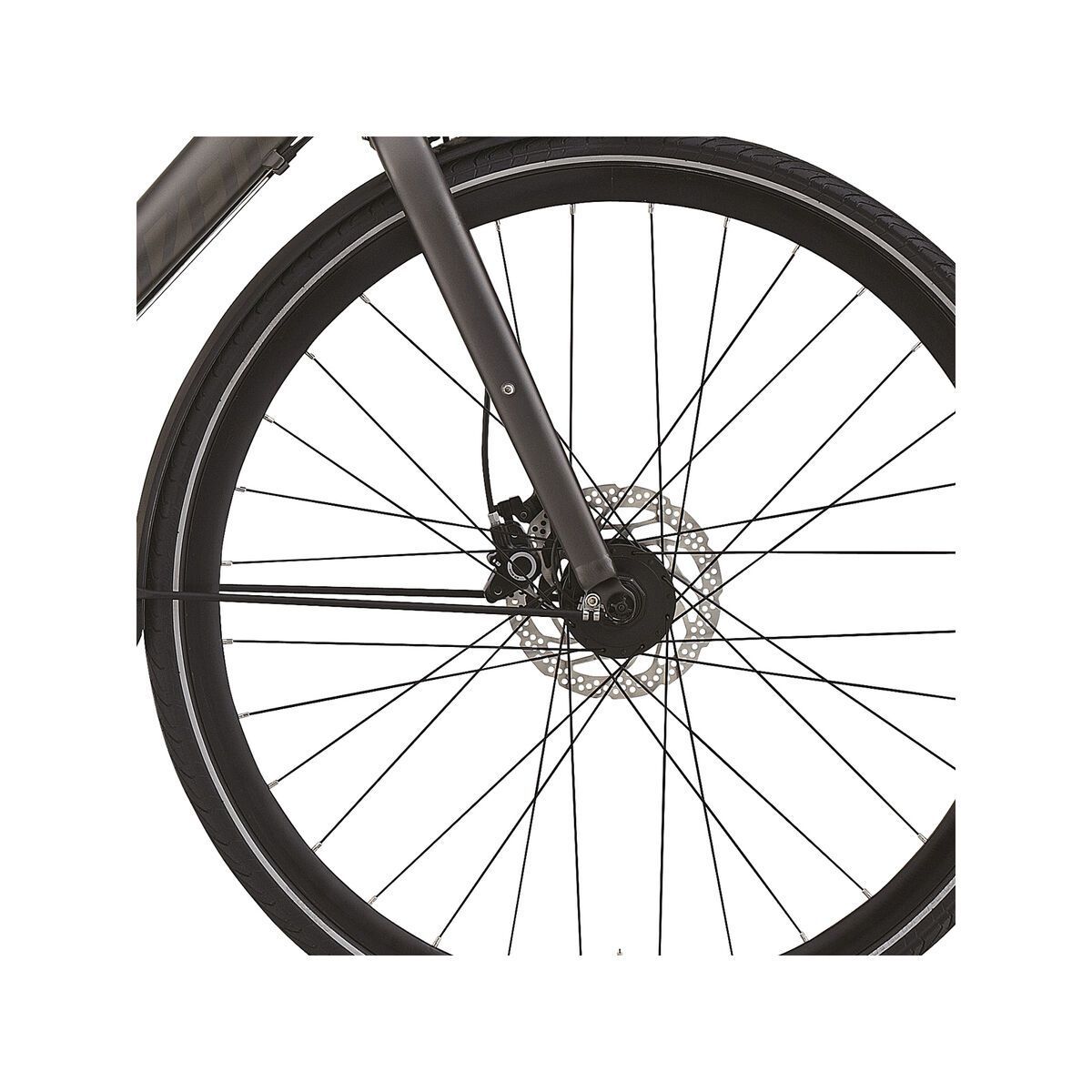 Specialized Source Elite Disc, Satin Gunmetal/Tint Graphic - Bild 2