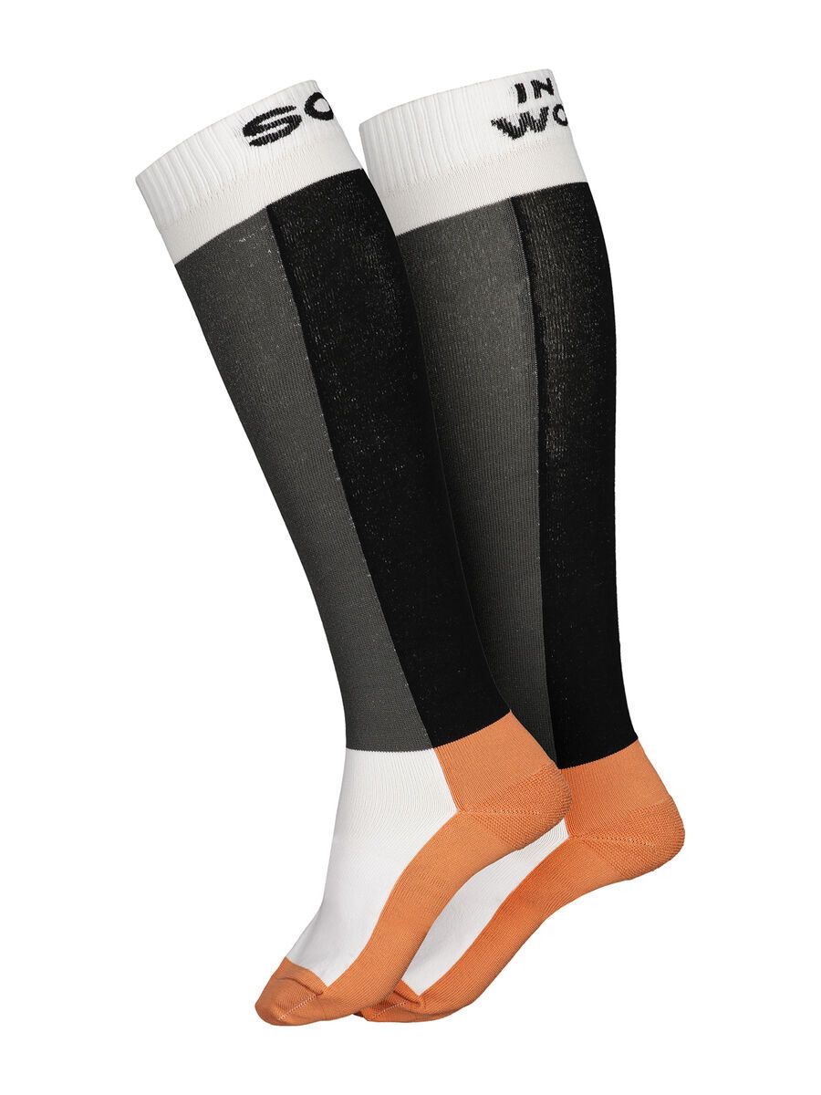 Maloja PfenningkrautM., snow - Bild 1