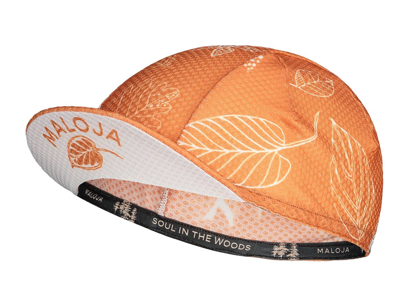 Maloja ElsbeereM., glowing alps - Bild 1