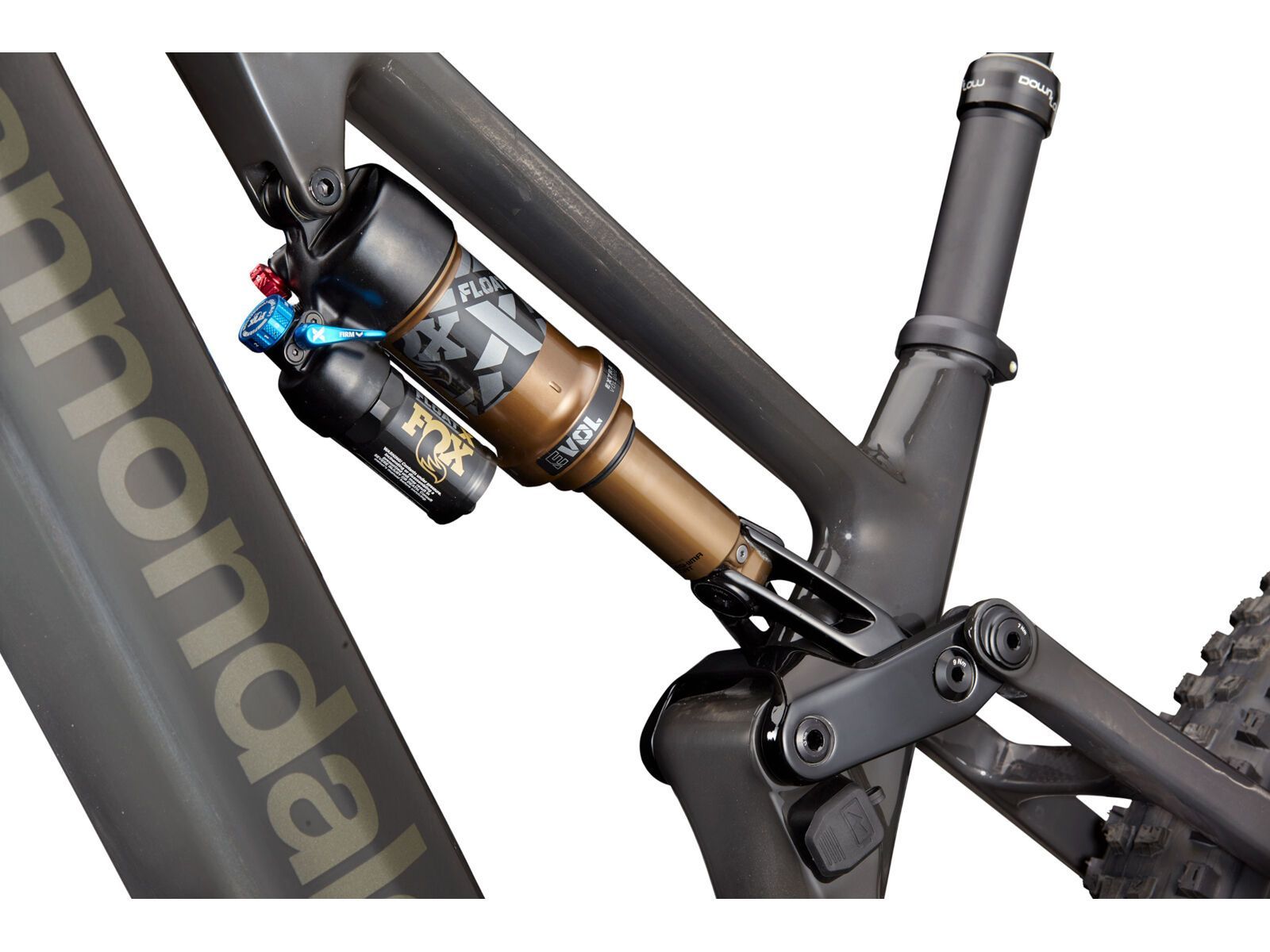 Cannondale Moterra Carbon SL 1, raw - Bild 7