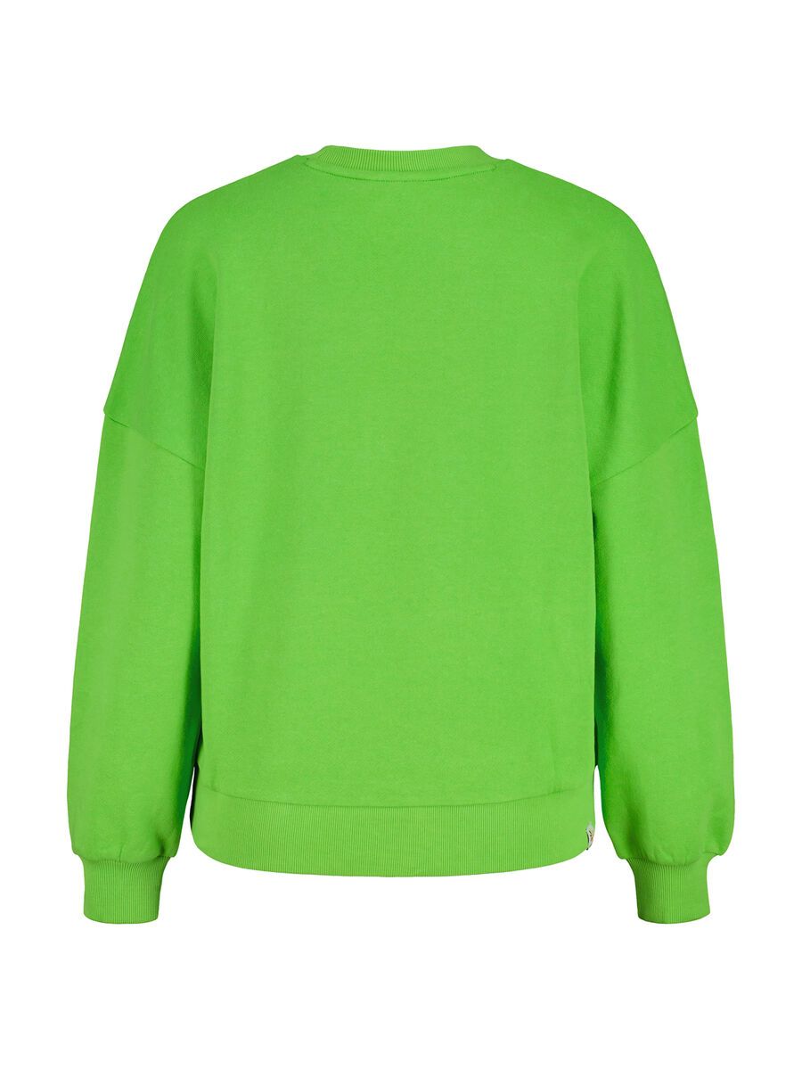 Maloja ElmseeM., northern light - Bild 2