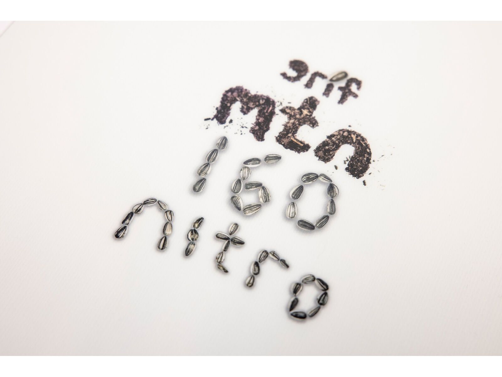 Nitro Mountain - Bild 7