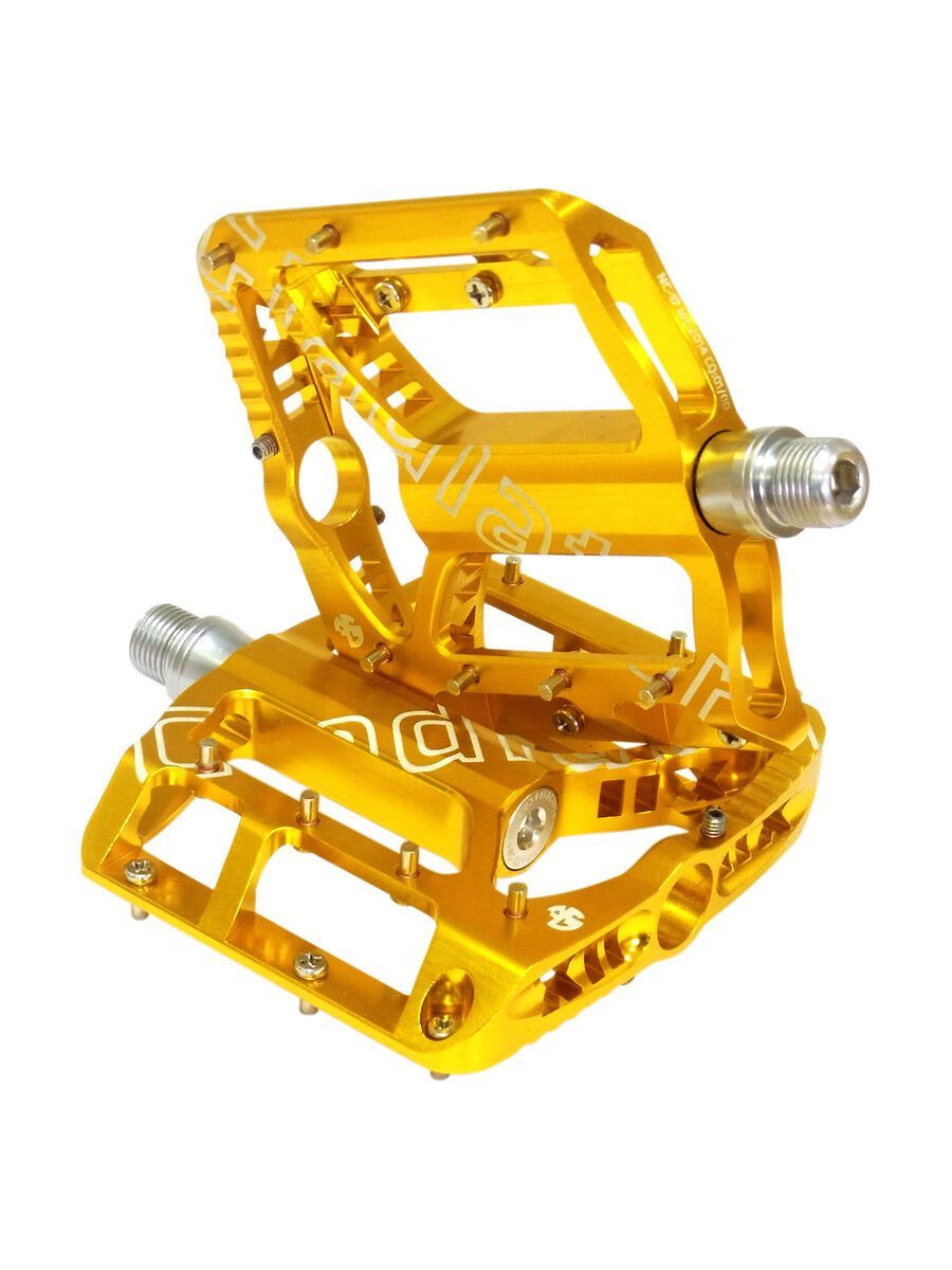 NC-17 Gladiator XII S-Pro, gold - Bild 1