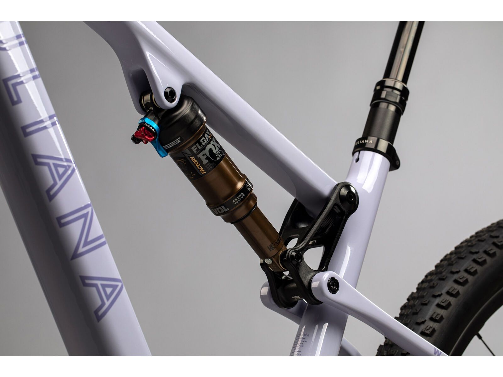 Juliana Wilder C / R / TR / 29, purple sweetness / lavender - Bild 4