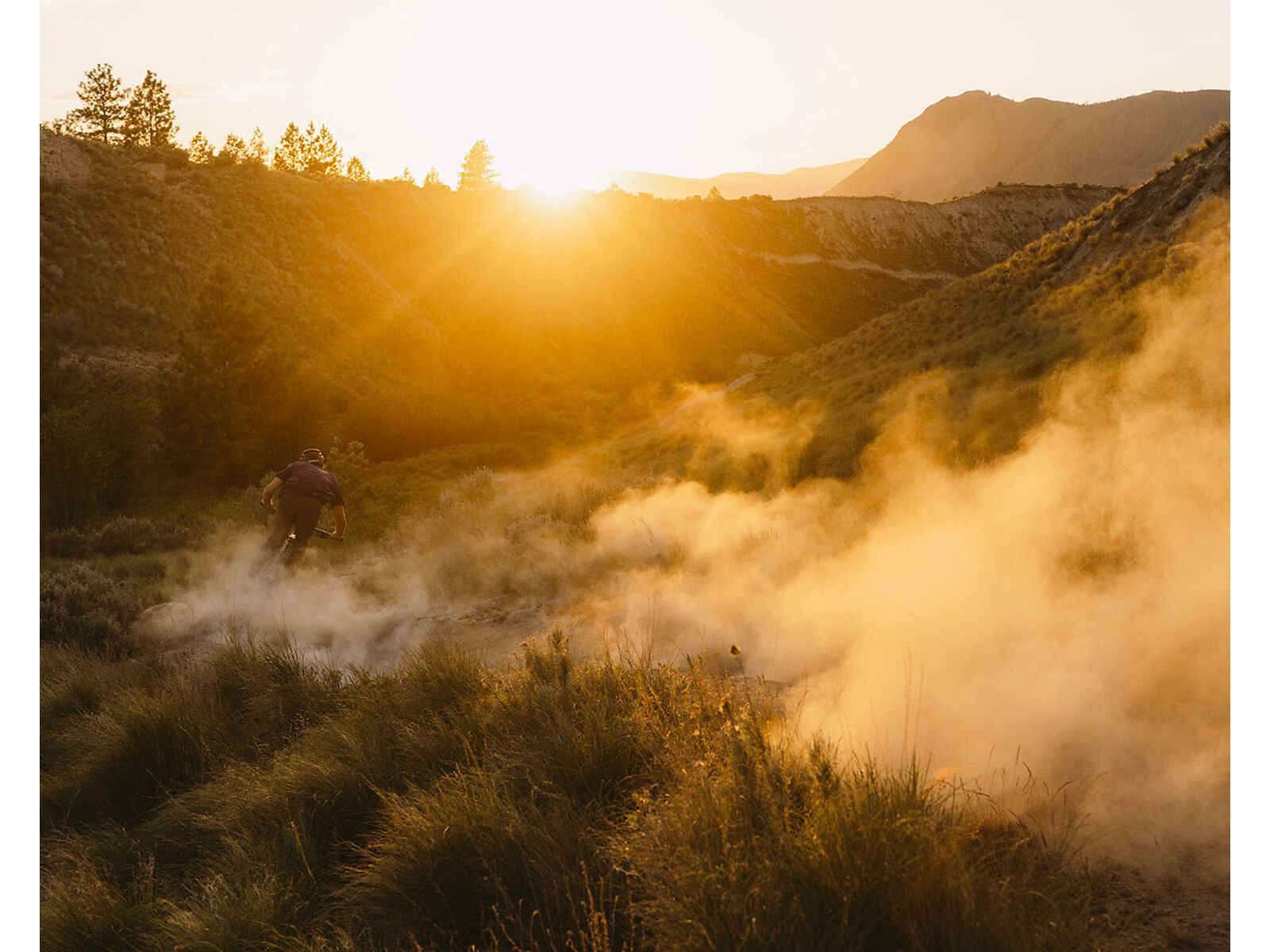 Specialized Stumpjumper 15 Comp Alloy - 29/29, powder indigo/smoke - Bild 9