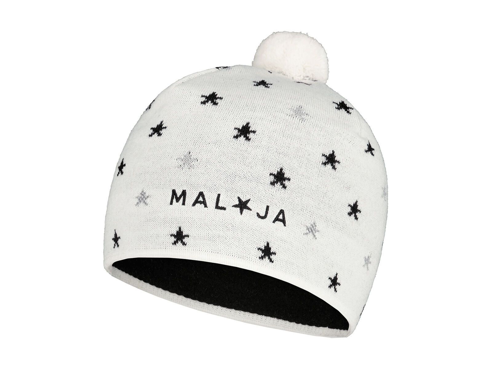 Maloja BergblumeM., snow - Bild 1