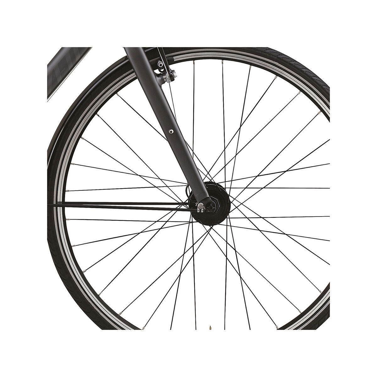 Specialized Source Sport Step Through, Satin Graphite/Tint Graphic - Bild 2