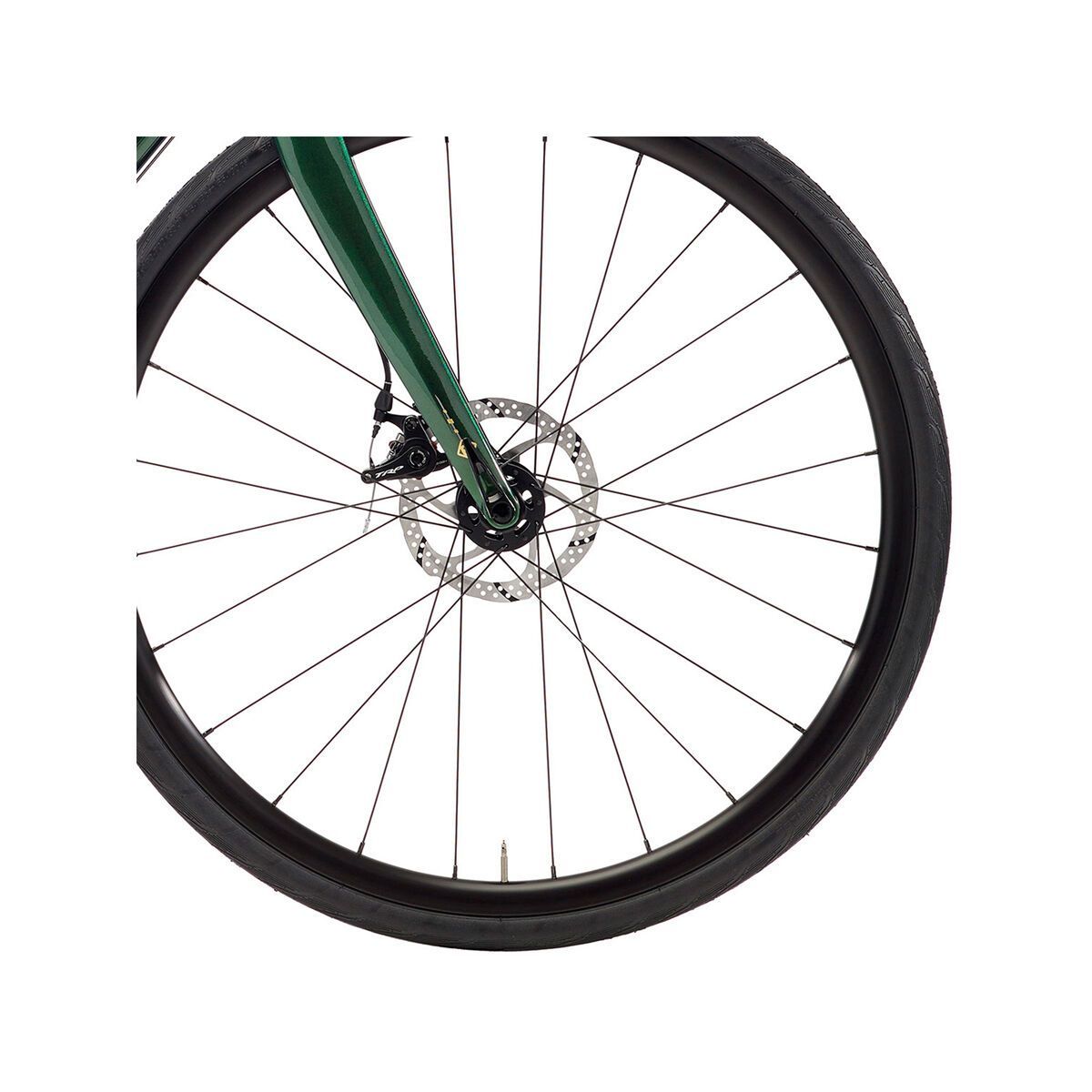 Kona Wheelhouse, gloss racing green w/ gold & silver decals - Bild 3