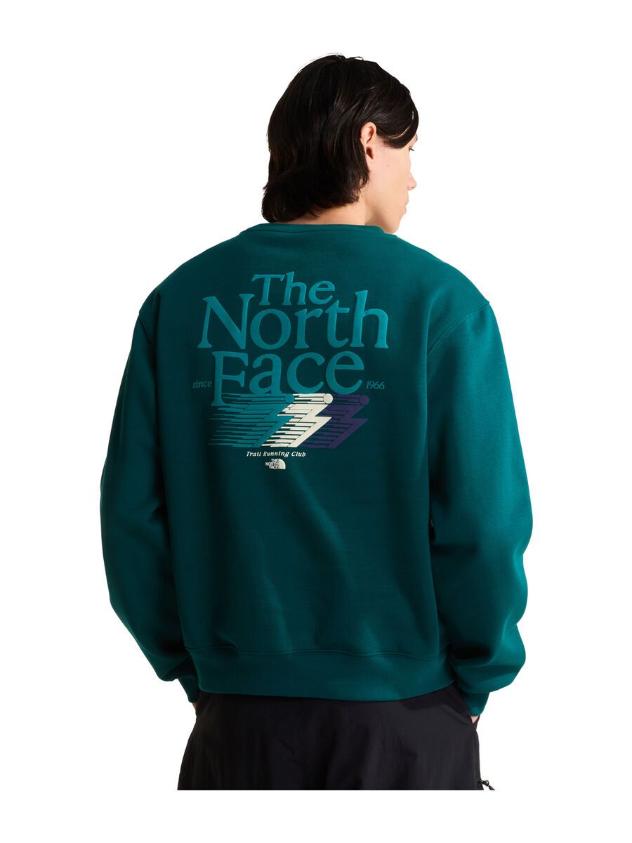 The North Face M Retro Trail Relaxed Crew Graphic, pacific teal - Bild 4