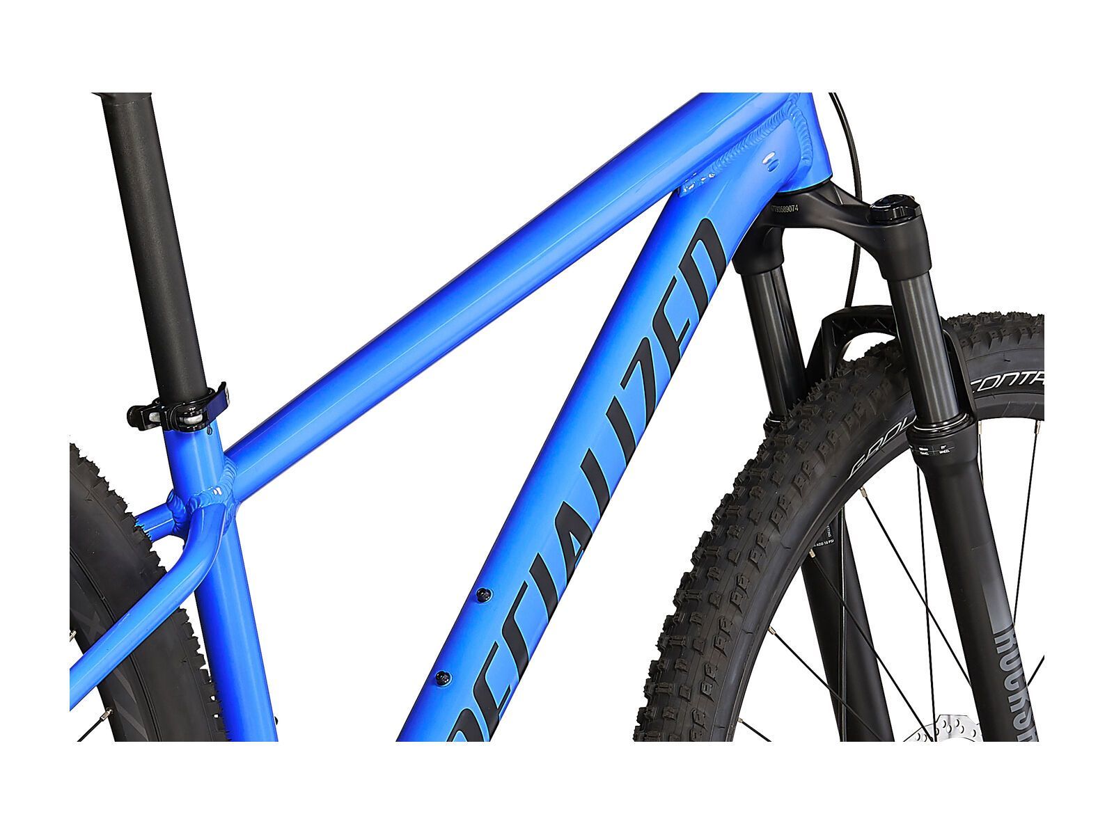 Specialized Rockhopper Expert 29, sky blue/black - Bild 6