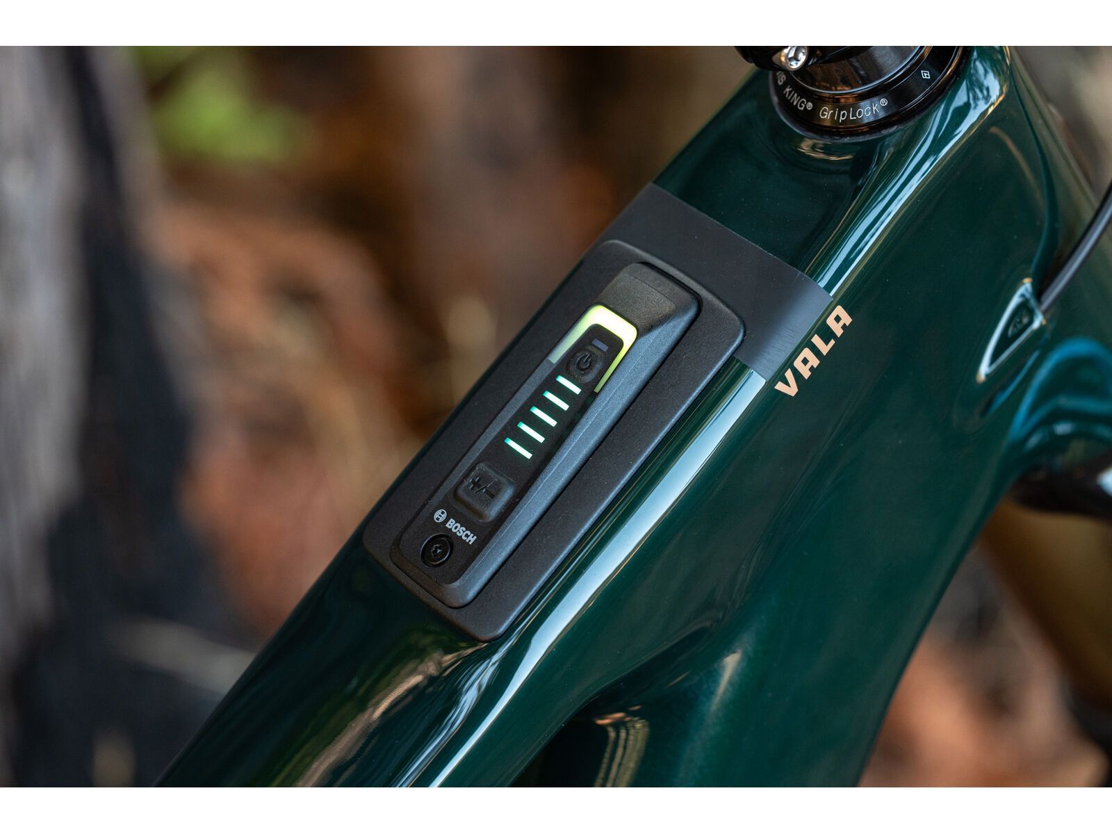 Santa Cruz Vala C / 90 / MX, gloss day green - Bild 4