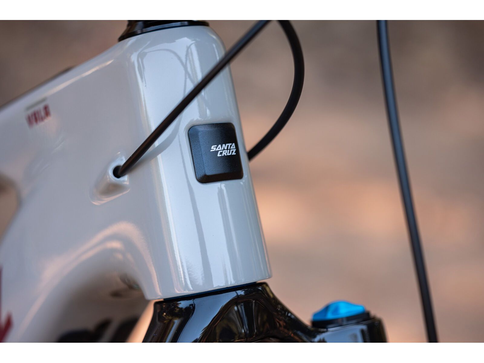 Santa Cruz Vala C / 90 / MX, gloss grey - Bild 5