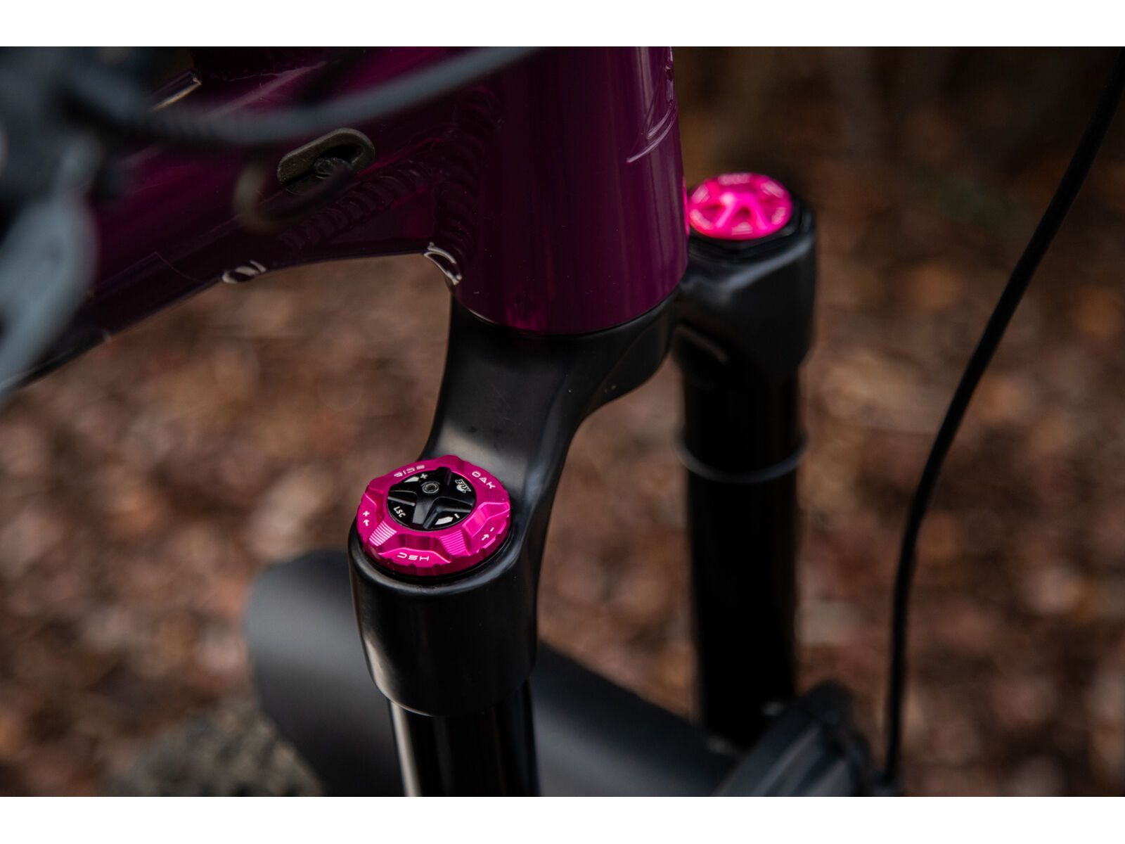 OAK Components Forkcap HSC für Fox 34, 36, 38, 40, pink - Bild 2