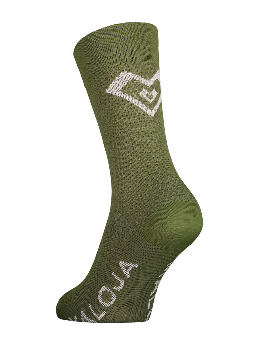 Maloja WaldsauerkleeM., moss - Bild 1