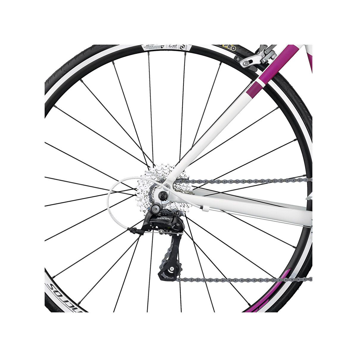 Scott Contessa Speedster 35 - Bild 4