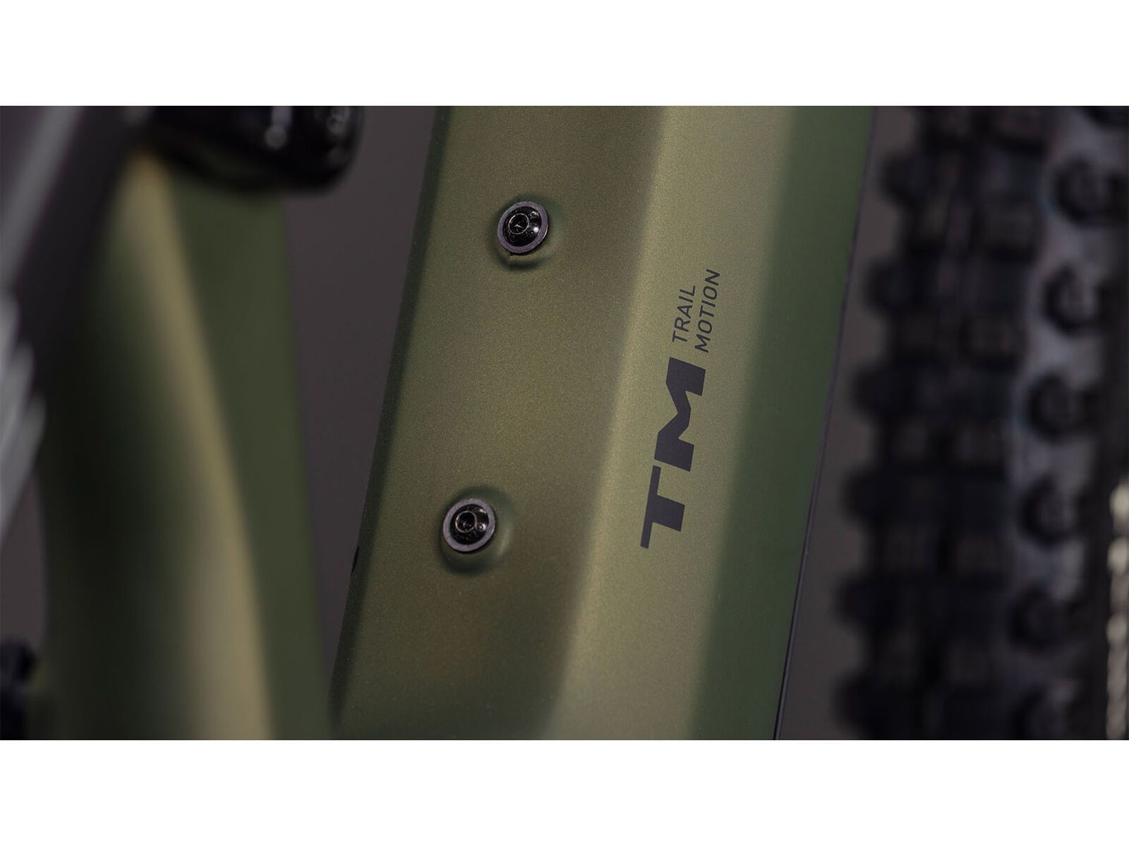 Cube AMS Hybrid 177 C:62 TM 600X, reedgreen´n´matrix - Bild 5