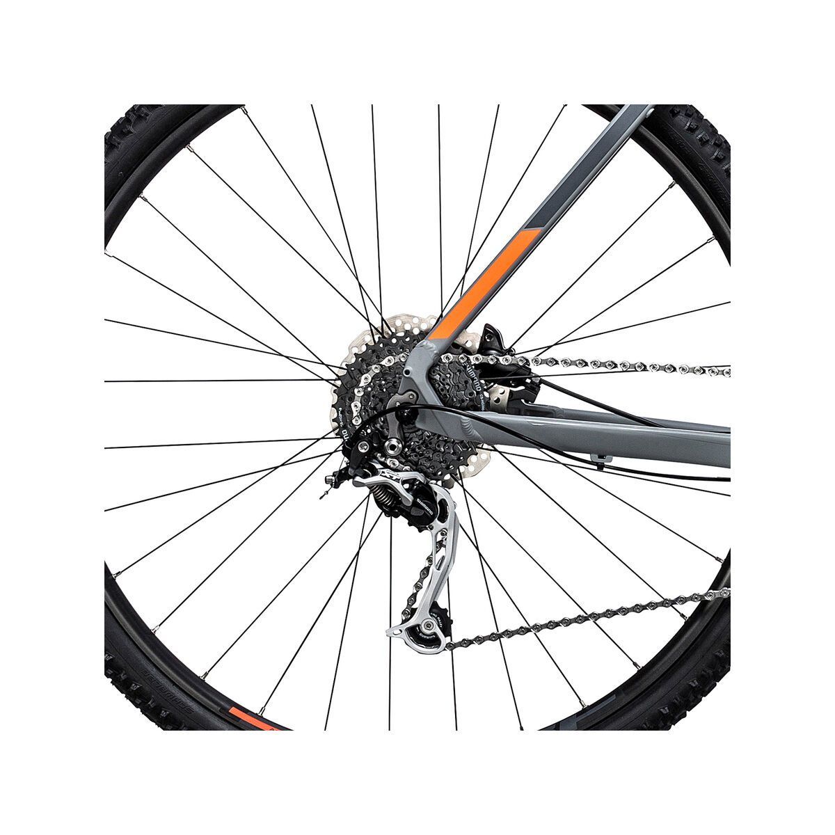 Cube Nature, grey´n´ flashorange - Bild 4