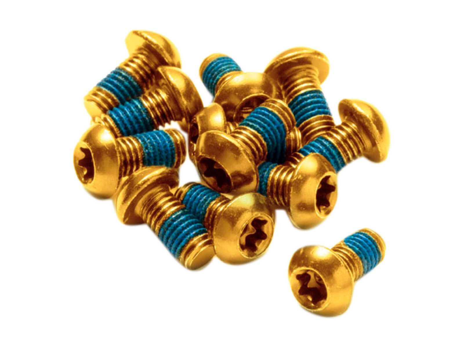 Reverse Disc Rotor Bolts, gold - Bild 1