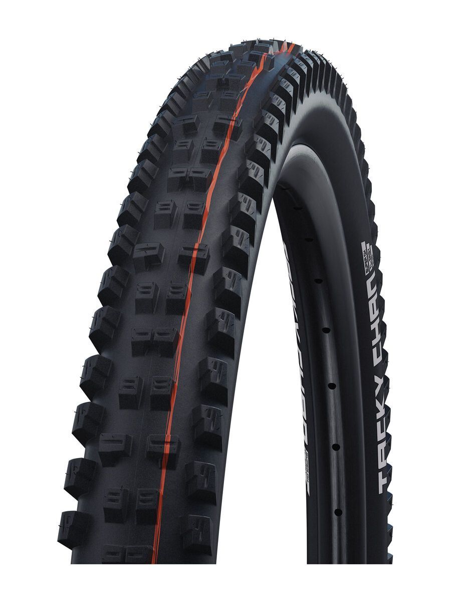 Schwalbe Tacky Chan Evo Addix Soft Super Trail - 29 Zoll - Bild 1