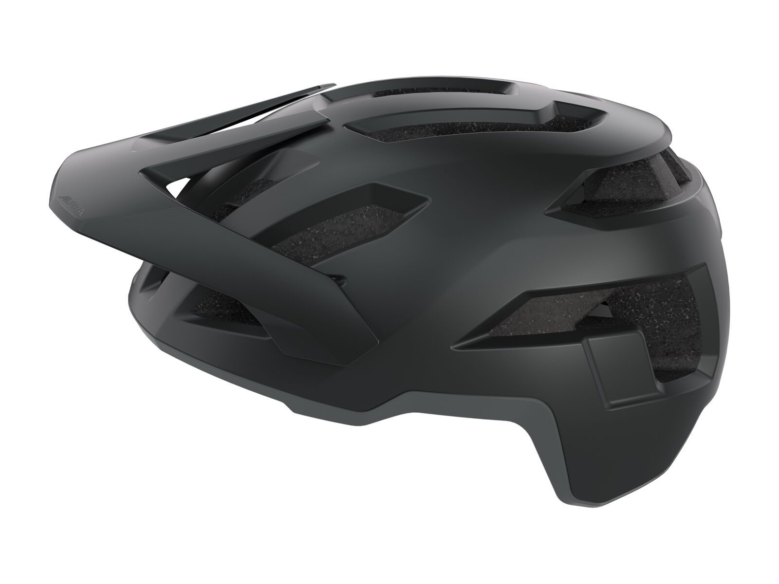 Alpina Taunus, black-grey matt - Bild 6