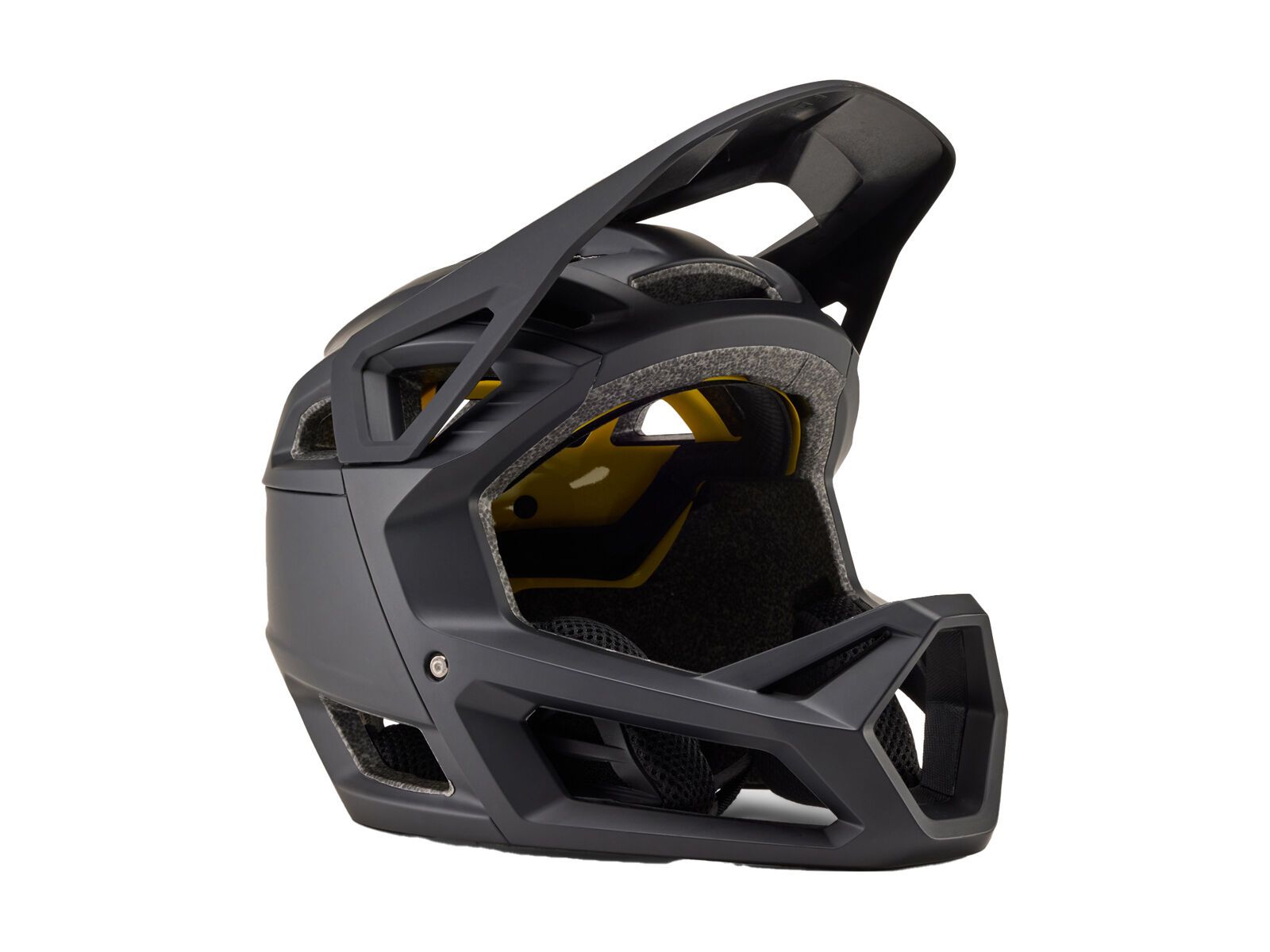 Fox Proframe Matte, matte black - Bild 1