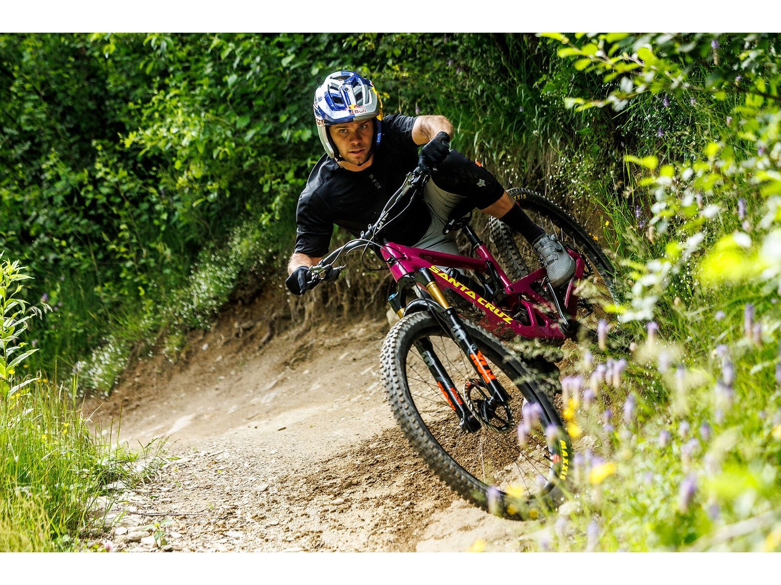 Santa Cruz Bronson CC / X0 AXS / MX, gloss kalimotxo - Bild 19