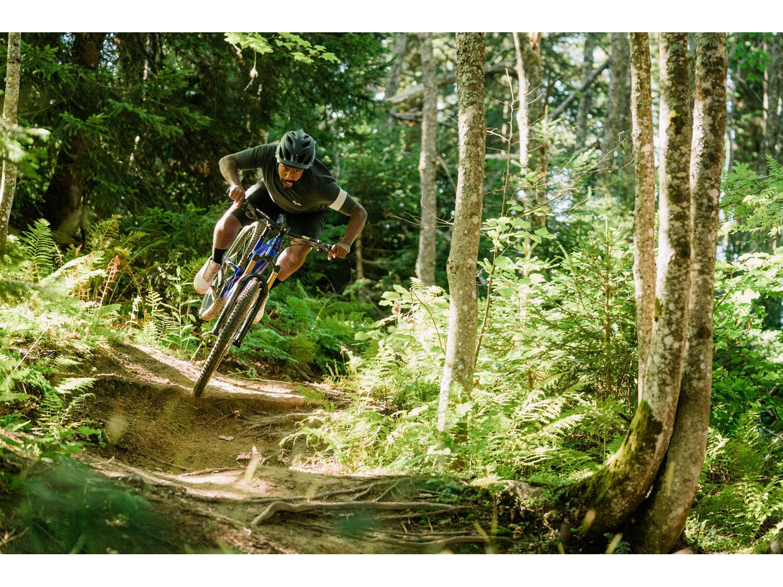 Santa Cruz Tallboy C / GX AXS / 29, matte taupe - Bild 14