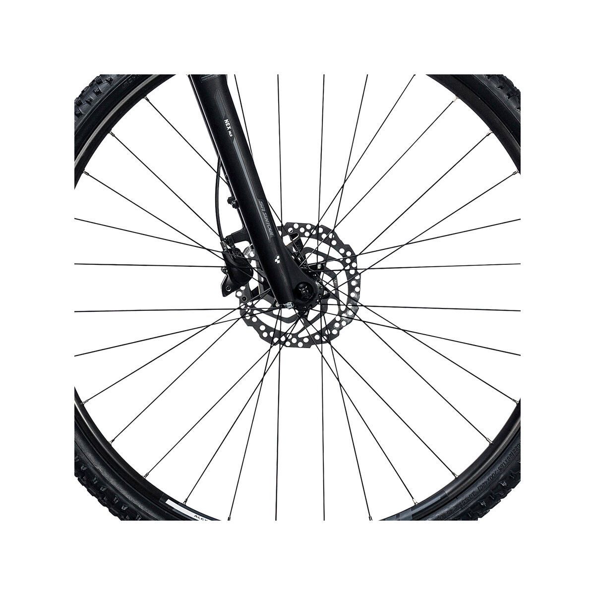 Cube Nature, black´n´white - Bild 2