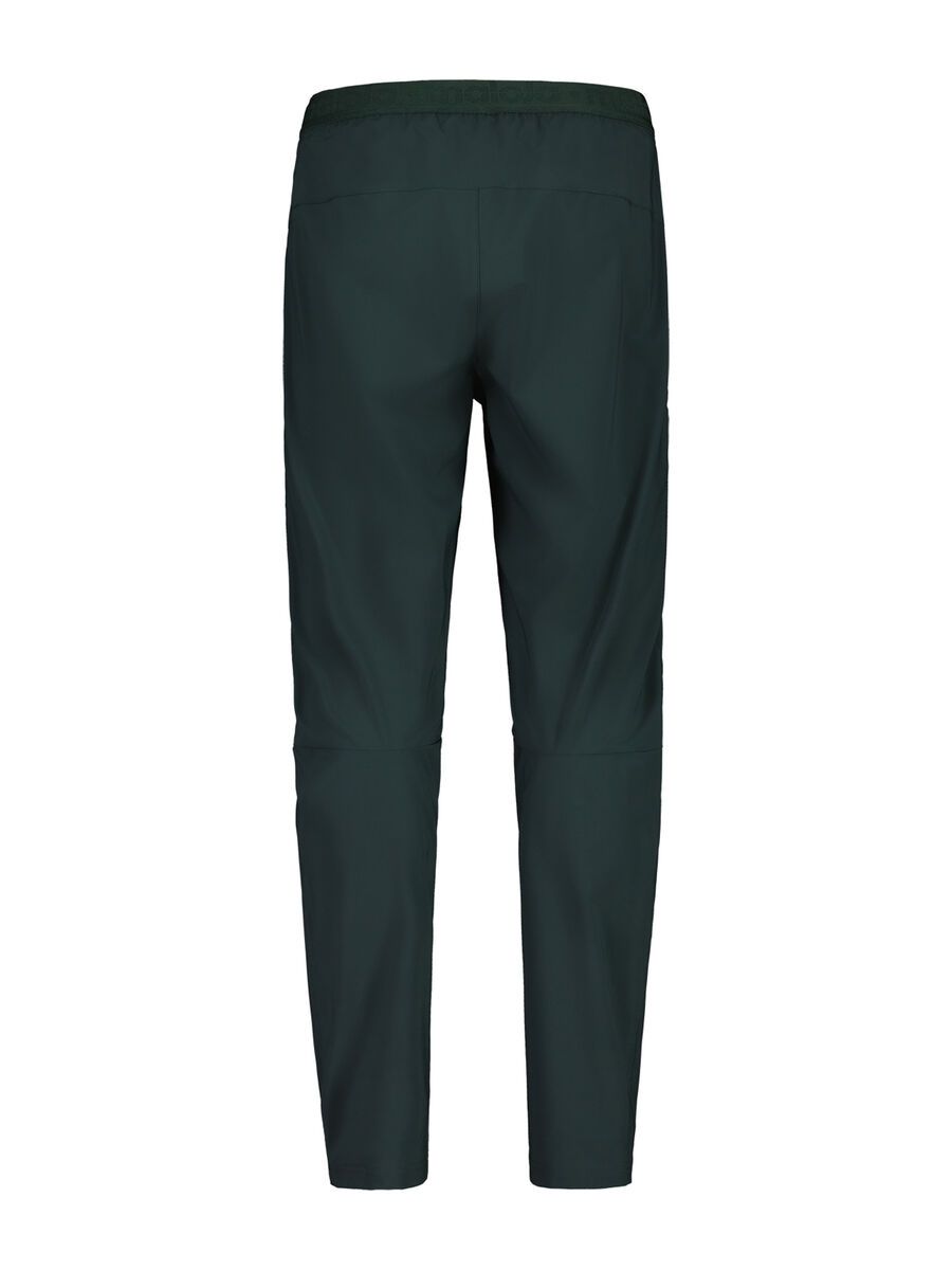 Maloja TripfeiM., mountain pine - Bild 2