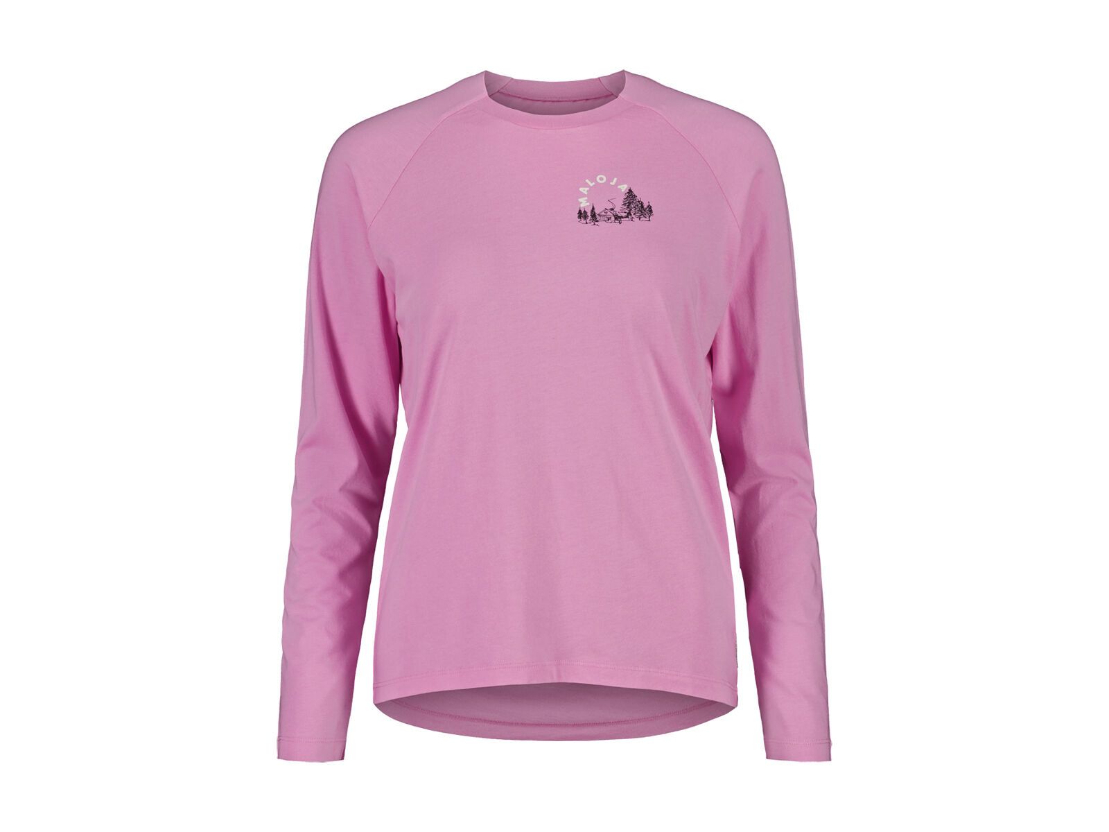 Maloja Allegrinim., winter magnolia - Bild 1