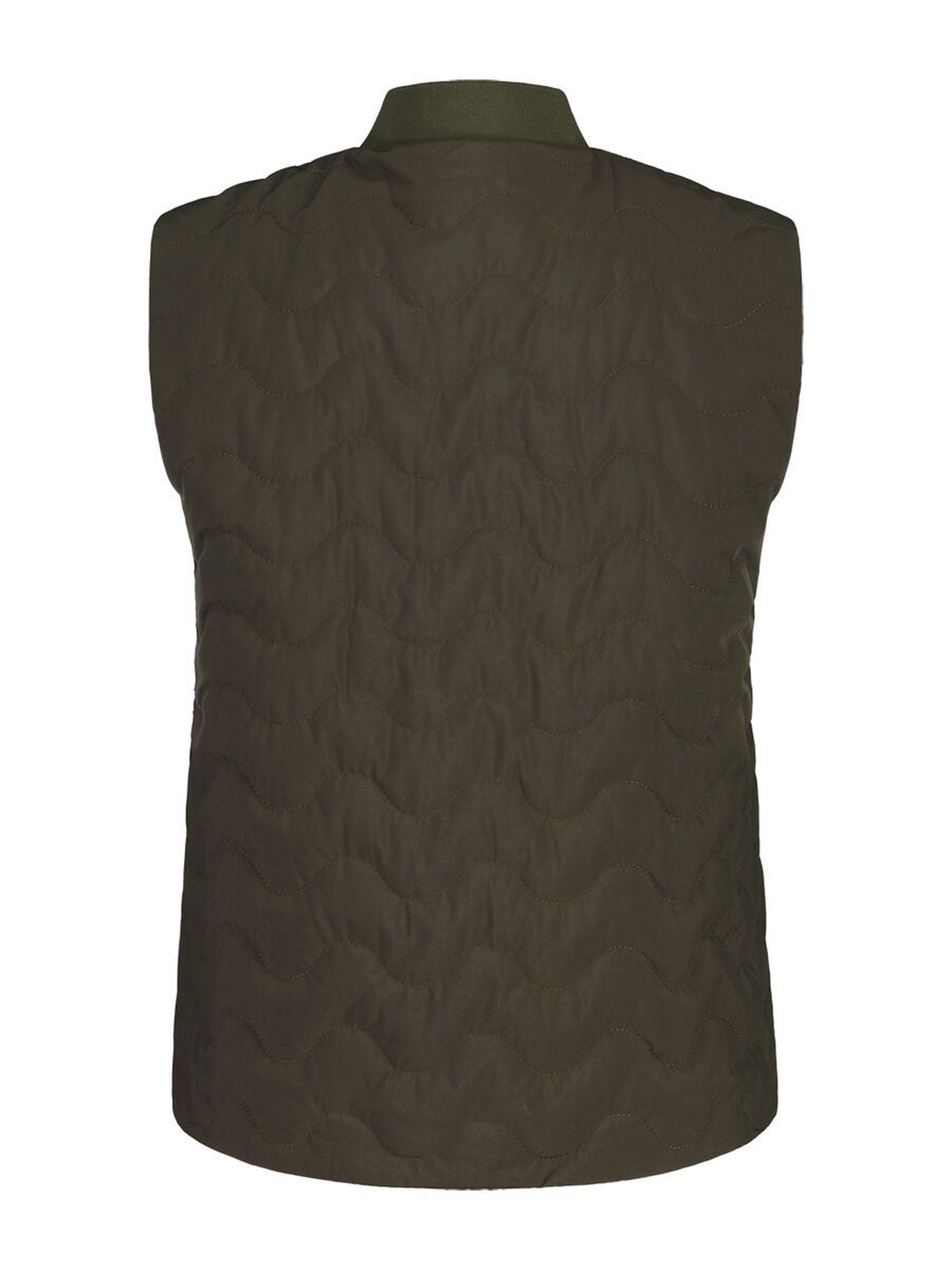 Maloja SellaM., alpine woods - Bild 2