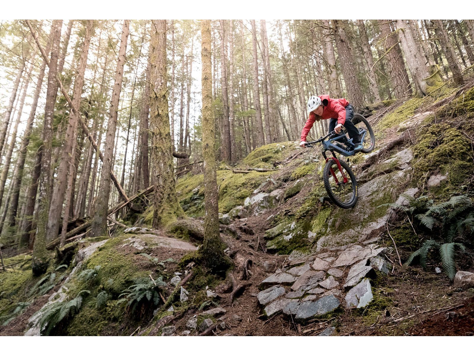 Juliana Roubion C / XT / MX, blue steel/purple - Bild 15