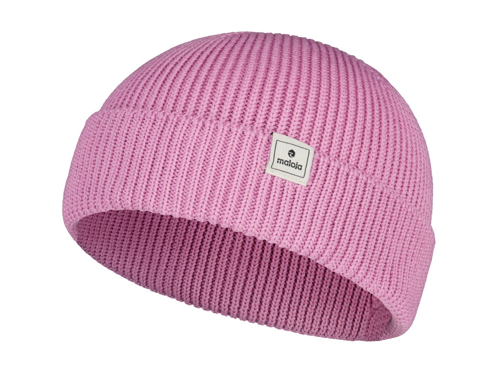 Maloja BertiagaM., winter magnolia - Bild 1