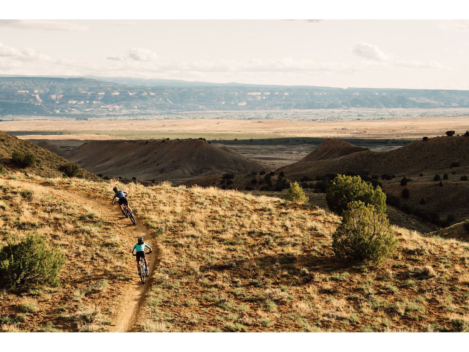 Juliana Wilder C / R / TR / 29, purple sweetness / lavender - Bild 14