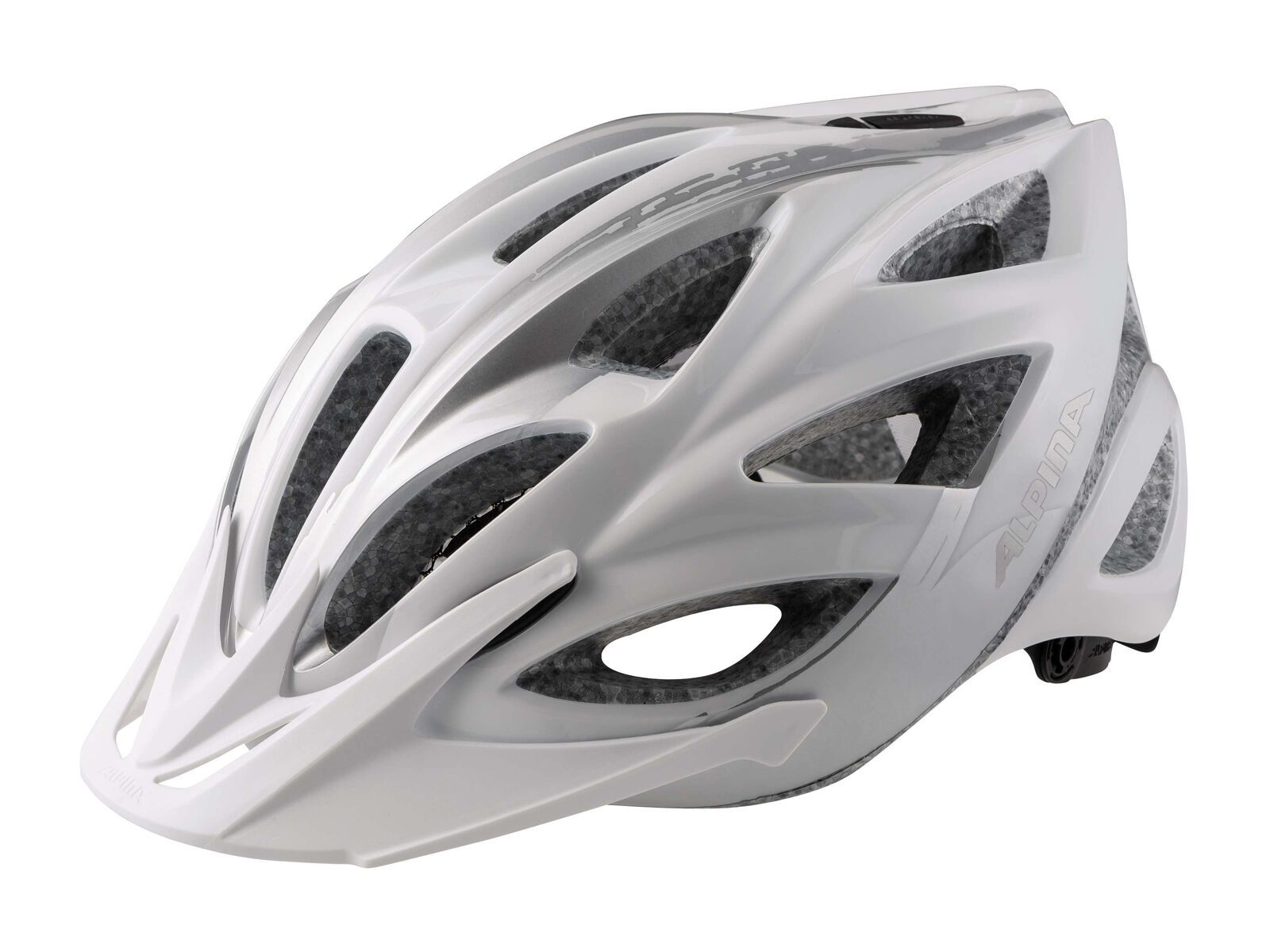 Alpina Skid 2.0, white-silver - Bild 1