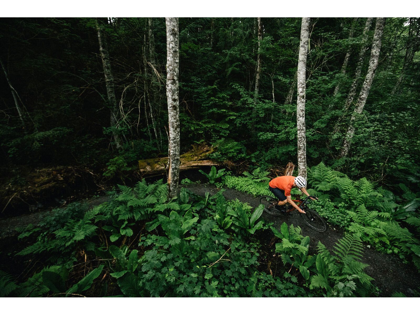 Santa Cruz Stigmata CC / Apex, british racing green - Bild 13