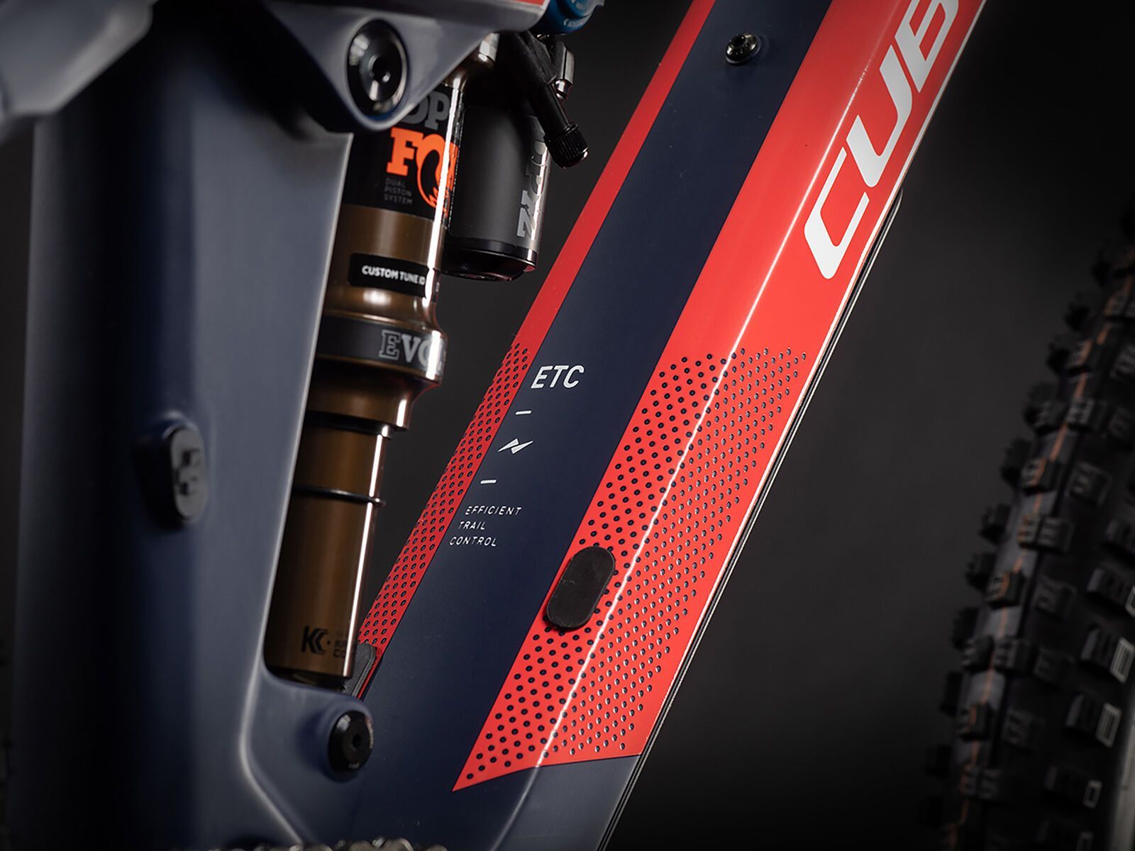 Cube Sting WS 140 HPC SL, team ws - Bild 3