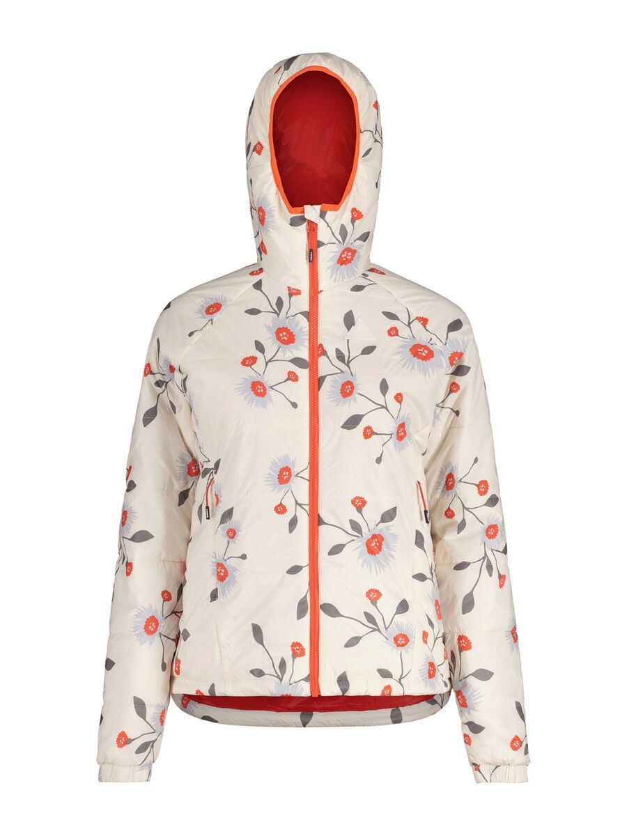 Maloja ChrysanthenumM., glacier milk glowflower - Bild 1