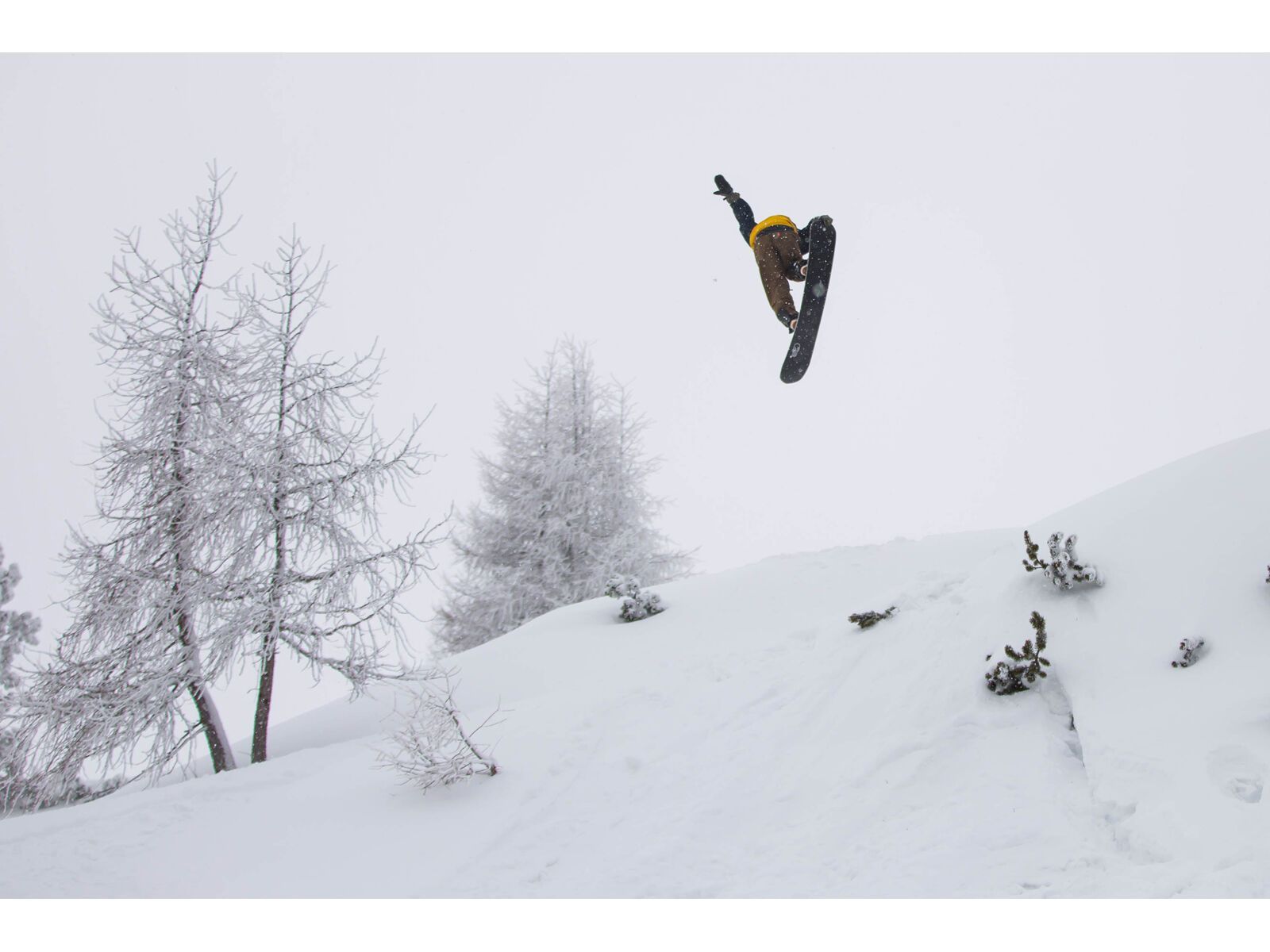 Bataleon Party Wave+ - Bild 10