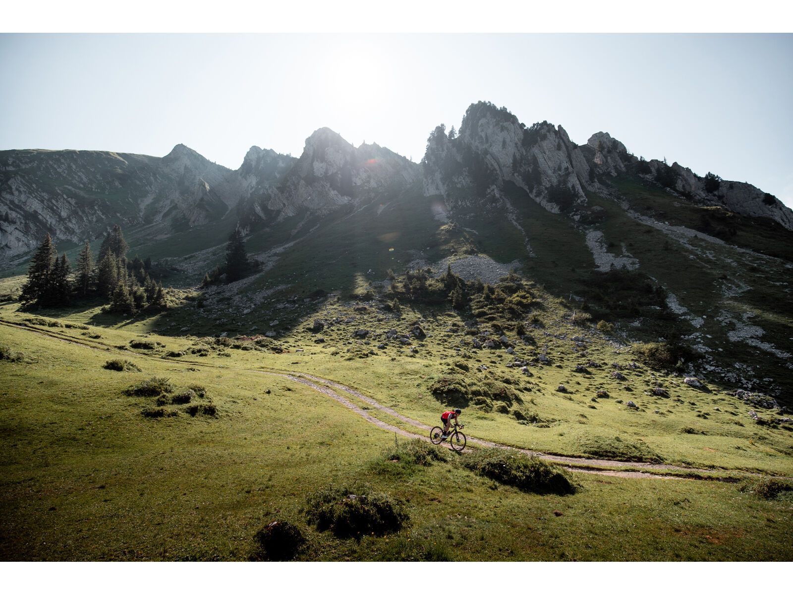 BMC URS LT Two - Bild 17